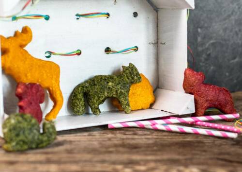 Das Auge isst auch bei Kindern mit: Ansprechend angerichtete Brote werden viel lieber gegessen.