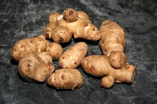 Topinambur-Knollen vor dunklem Hintergrund von oben fotografiert