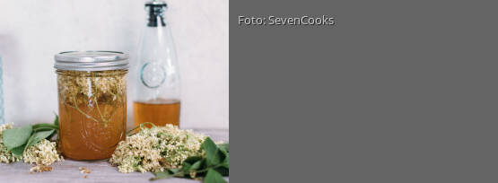 Rezeptbild für "Holunderblütenessig"