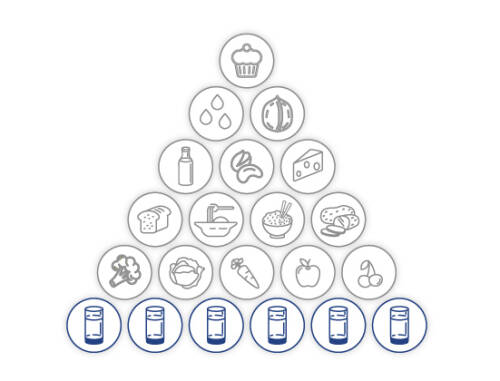Der Wasseranteil in der vegetarischen Ernährungspyramide von SevenCooks: 1,5 Liter = 6 Gläser à 250 ml