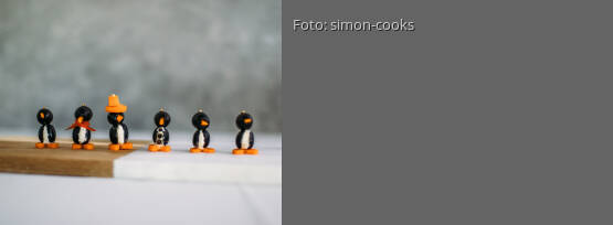 Rezeptbild für "Pinguine aus Oliven"