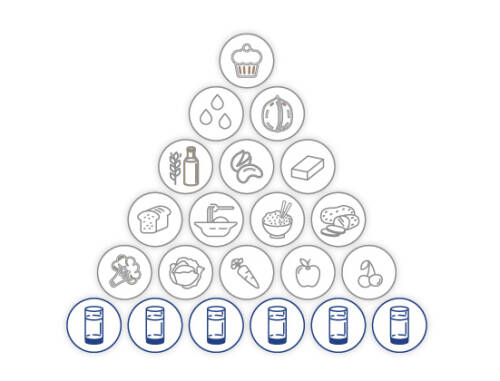 Wasseranteil in der veganen Ernährungspyramide von SevenCooks: Mindestens 1,5 Liter, entspricht etwa 6 Gläsern.