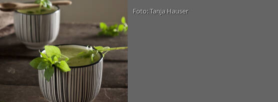 Rezeptbild für "Kalte Zucchini-Zitronen-Suppe"